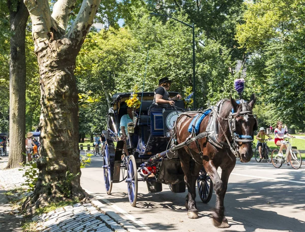 Touristen im Central Park beim Reiten mit Pferd und Buggy — Stockfoto