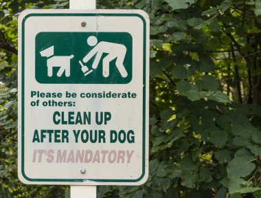 Köpek işaretinden sonra temizleyin