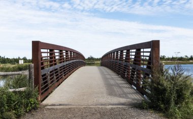 Batık Meadow State Park'ta ihlal üzerine çimento köprüsü