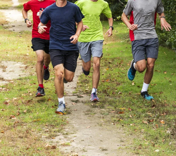 Groep van lopers training op een gras en onverharde weg — Stockfoto