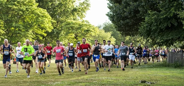 Midden van de running race start op gras op gezonken weide staat par — Stockfoto