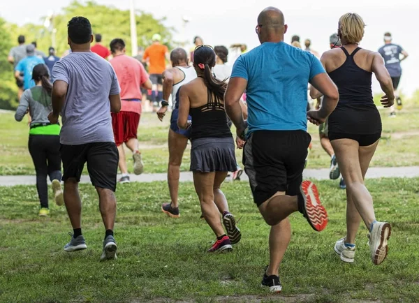 Vista trasera de muchos corredores corriendo sobre hierba durante la carrera —  Fotos de Stock