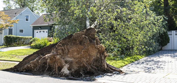 Árbol cae en casa durante la tormenta — Foto de Stock