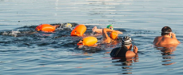 Grupo Nadadores Masculinos Femininos Com Flutuações Laranja Iniciando Mergulho Para — Fotografia de Stock