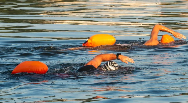 Two women freestyle swimming wearing weatsuits in the bay trainining for triathlons with orange saftey buoy floating bihind them.