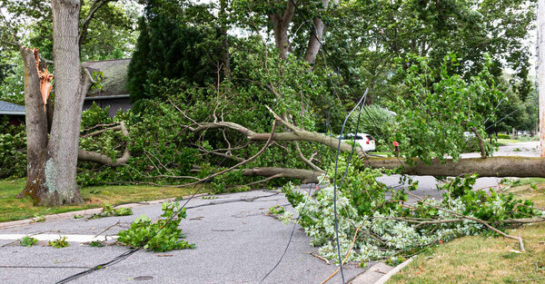 Toppled over trees and electric wires lying across a residential street after tropical storm Isaias on Long Island New York.