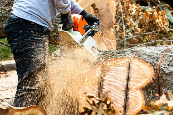 Paesaggista Che Usa Una Motosega Tagliare Albero Caduto Durante Tempesta — Foto Stock