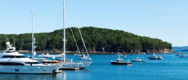 Büyük ve küçük tekneler, Temmuz ayı sonlarında Bar Harbor Maine 'in sularında demirlediler ve demirlediler..