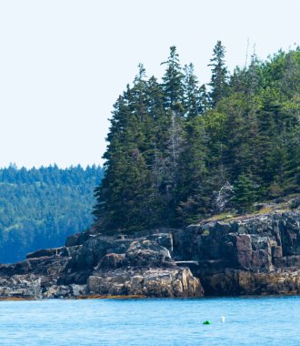 Bar Harbor Maine 'in sularındaki Kirpi Adalarından birinin Rocky kıyı şeridi dikey görünümü.