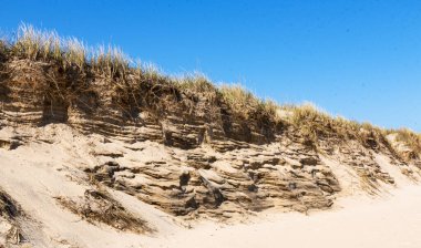 Nisan 2020 'de New York Montauk Sahili' ndeki kum tepelerinin üzerinde derin mavi bir gökyüzü çekilmiş..