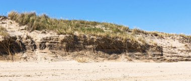 Montauk New York 'ta mavi gökyüzü ile Atlantik Okyanusu tarafından hırpalanmış bir kum tepesinin yatay görüntüsü.