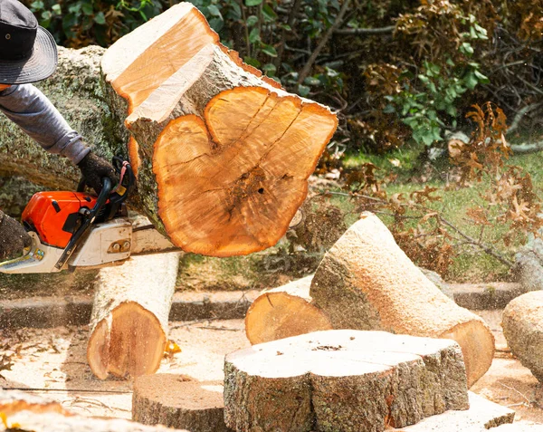 Grande Albero Stato Rimosso Una Proprietà Residenziale Dopo Che Caduto — Foto Stock