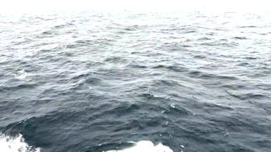 Sakin bir okyanusa bakan bir yolcu teknesi bir sonraki durağına doğru yavaşça hareket eder..