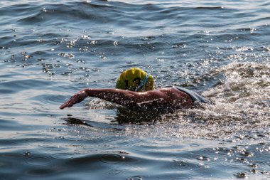 Yüzücü sakin sularda yüzerken güneşin ve doğanın tadını çıkarır..