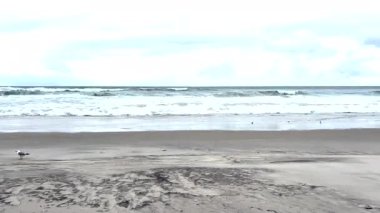 Erin Kasırgası 'ndan oluşan Çok Büyük Fırtına Dalgaları' nın çok yakınında..