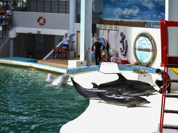 Евпатория, Украина. 07. 07 726. 2013 год. Шоу для детей с дельфинами и людьми в дельфинарии — стоковое фото