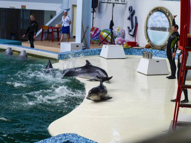 Evpatoria, Ukrayna. 07 26 2013. Yunuslu çocuklar ve yunuslar için göster