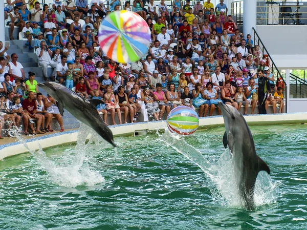 Evpatoria, Ucrânia. 07. 26. 2013. Show para crianças com golfinhos e pessoas no golfinário — Fotografia de Stock