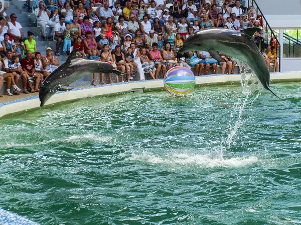 Evpatoria, Ucrânia. 07. 26. 2013. Show para crianças com golfinhos e pessoas no golfinário — Fotografia de Stock