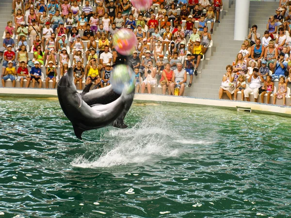Евпатория, Украина. 07 26 2013. Шоу для детей с дельфинами и людьми в дельфинарии — стоковое фото