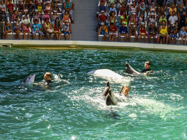 Evpatoria, Ucrânia. 07 26 2013. Show para crianças com golfinhos e pessoas no golfinário — Fotografia de Stock