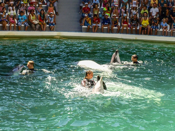 Евпатория, Украина. 07 26 2013. Шоу для детей с дельфинами и людьми в дельфинарии — стоковое фото