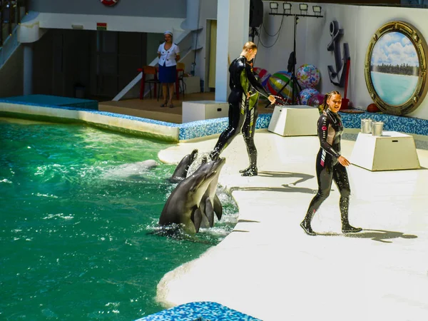 Evpatoria, Ucrania. 07 26 2013. Espectáculo para niños con delfines y personas en el delfinario — Foto de Stock