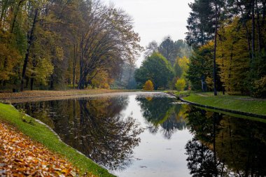Sonbahar ormanının arka planında parkta göl