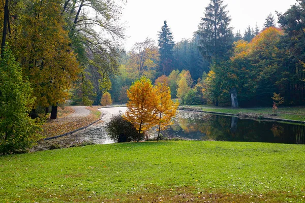 Lago nel parco sullo sfondo della foresta autunnale — Foto Stock
