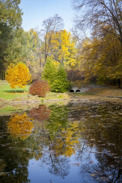 Lago no parque contra o pano de fundo da floresta de outono — Fotografia de Stock