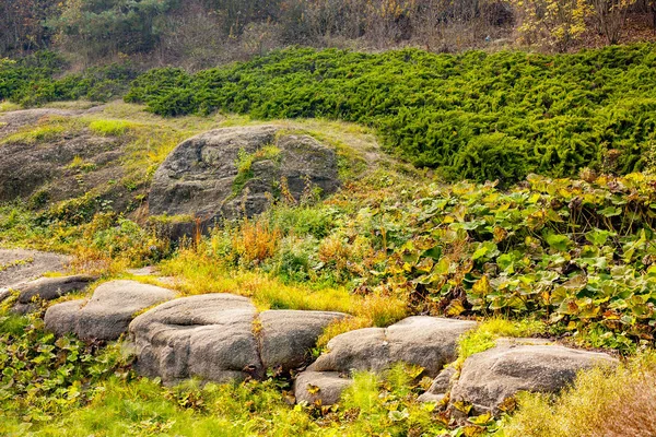 O caminho das grandes pedras na floresta de outono — Fotografia de Stock