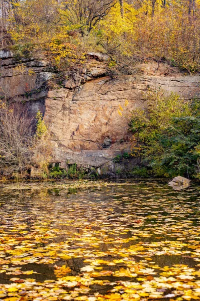 Lago no parque contra o pano de fundo da floresta de outono — Fotografia de Stock