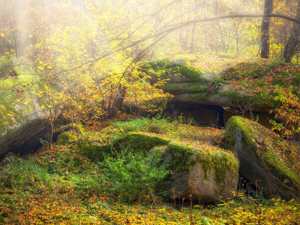 The sun's rays illuminate the stones covered with moss in the autumn forest