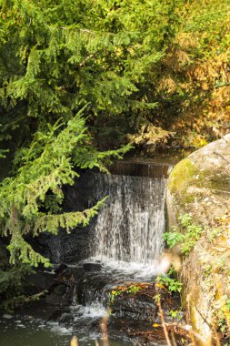 Düşmüş yaprakları ile sonbahar ormanda Dağ nehri şelale