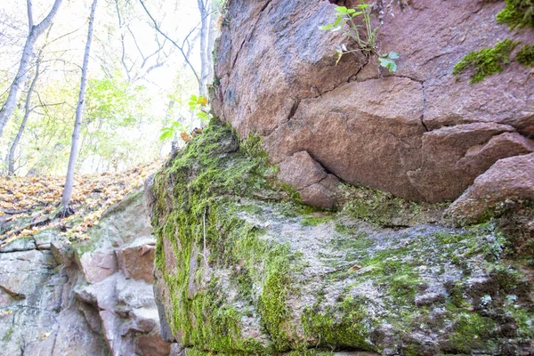 Каменная гора в осеннем лесу с опавшими листьями — стоковое фото