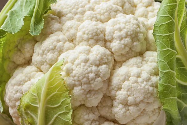 A head of cauliflower lies on a table — Stock Photo, Image