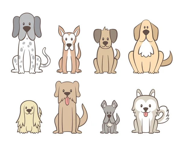 收集不同种类的狗在白色背景下隔离 手拉狗坐在前面的立场 矢量插图 — 图库矢量图片