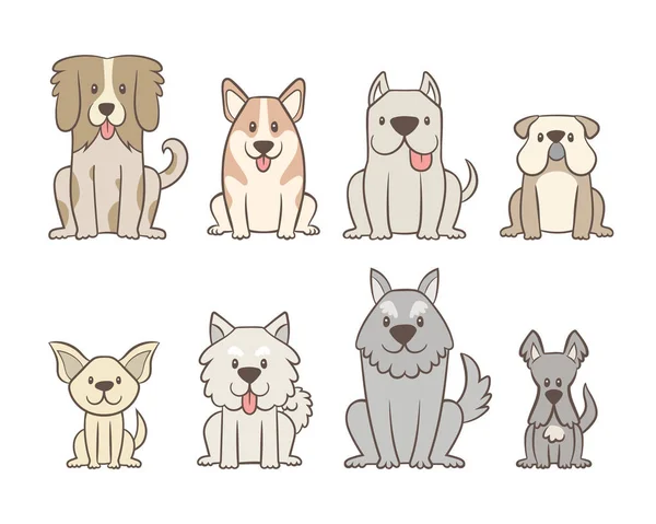Colección Diferentes Tipos Perros Aislados Sobre Fondo Blanco Perros Dibujados — Archivo Imágenes Vectoriales