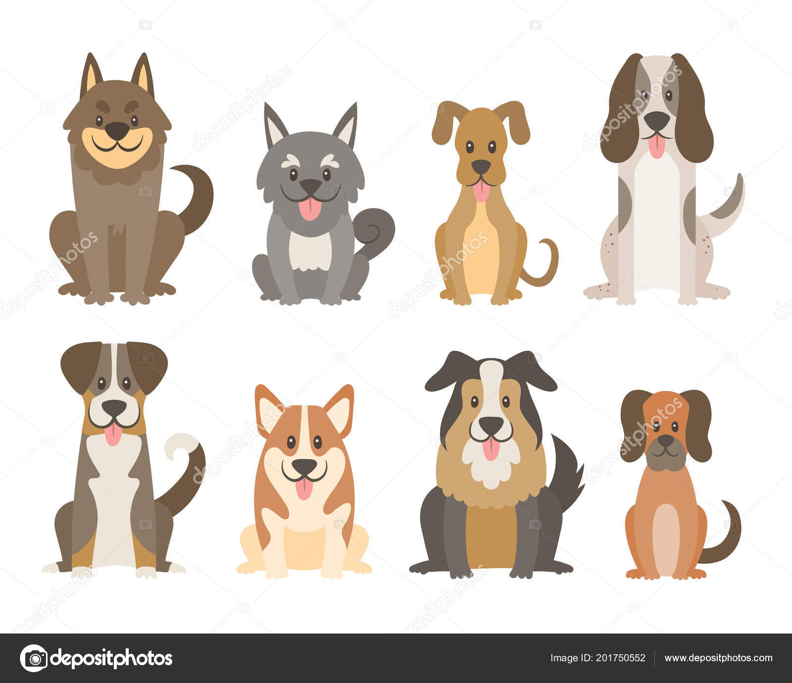 Collection Different Kinds Dogs Isolated White Background Cute ...