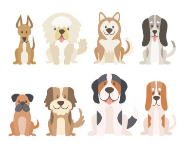 Beyaz arka plan üzerinde izole köpek farklı türde topluluğu. Karikatür tarzı önünde oturan içinde şirin köpek pozisyonu görüntüleyin. Vektör çizim.