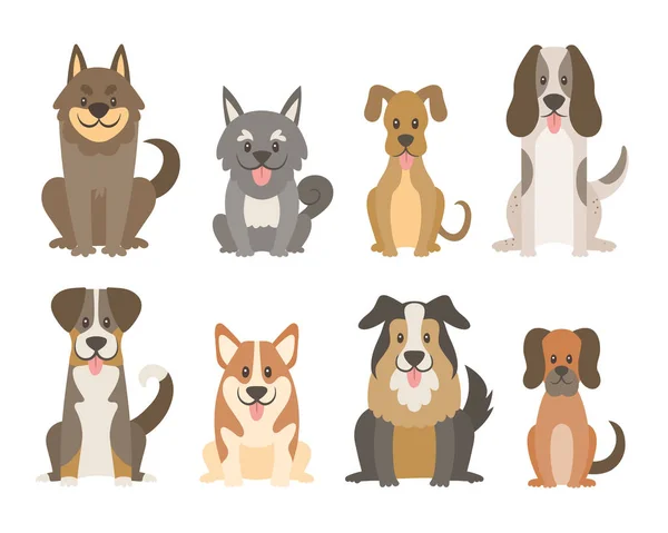 Colección Diferentes Tipos Perros Aislados Sobre Fondo Blanco Lindos Perros — Vector de stock