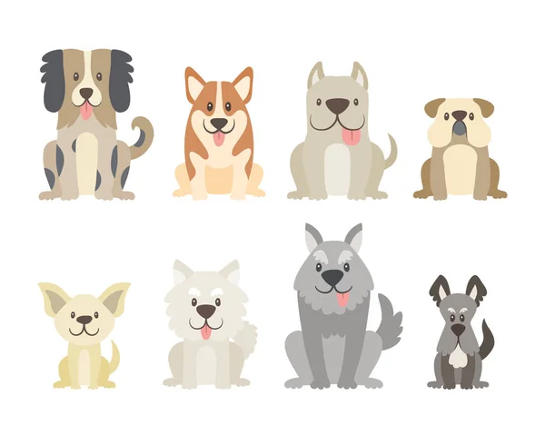 Colección Diferentes Tipos Perros Aislados Sobre Fondo Blanco Lindos Perros — Vector de stock