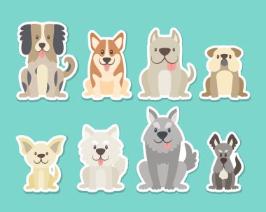 Köpeklerin farklı türde çıkartma koleksiyonu. Cmt köpekler önünde pozisyon görüntüleyin. Bulldog, schnauzer, chihuahua, korkunç, çoban köpeği, corgi. Vektör çizim.