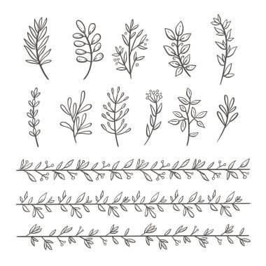 Yaprak ve meyveleri dalları demet. Beyaz arka plan üzerinde izole elle çizilmiş çiçek dekoratif öğeler. Davetiye, tebrik kartları, tırnak, çerçeveler için mükemmel. Çiçek dekoratif sınırları. Vektör çizim.