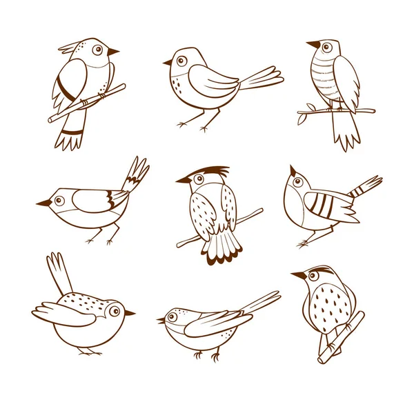 Handgezeichnete Vögel Verschiedenen Posen Isoliert Auf Weißem Hintergrund Vektorillustration — Stockvektor