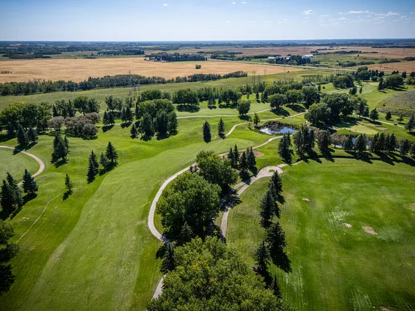 Saskatchewan, Saskatchewan 'daki Söğütler' in hava manzarasında golf sahası yeşillikleri, evler ve peyzaj alanları yer alıyor..