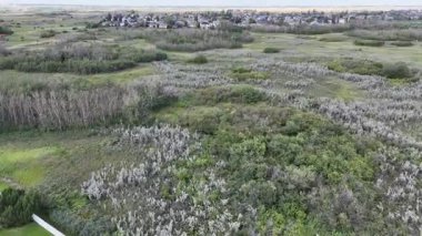 Kuzeydoğu Saskatoon 'daki yerleşim yeri Silverspring' in 4K hava aracı görüntüleri..