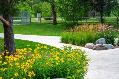 Parkta çitli ve ağaçlı bir patika. Yol sarı çiçekler ve yeşil otlarla kaplı.
