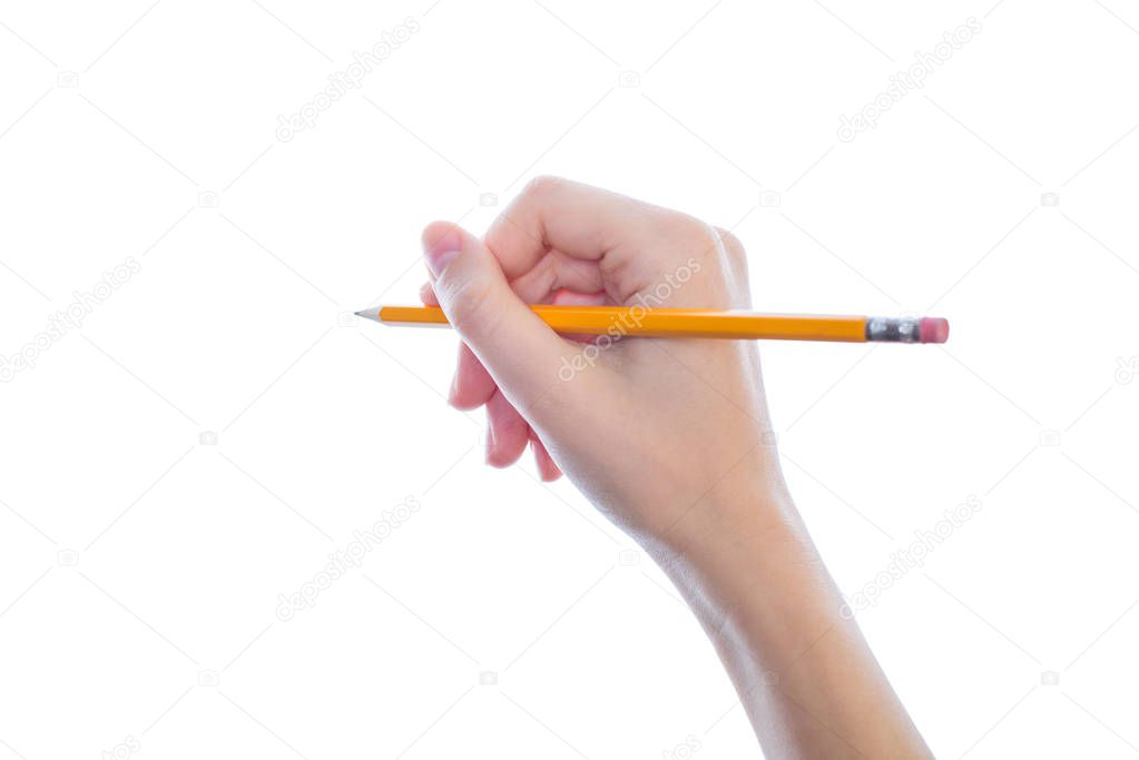 Side profile half turned close up studio photo of woman's hand holding pencil with eraser isolated on white background copyspace mockup