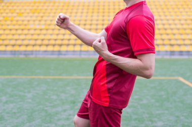 Kırpılmış yan profil heyecanlı mutlu oyuncu scor fotoğrafı kadar yakın